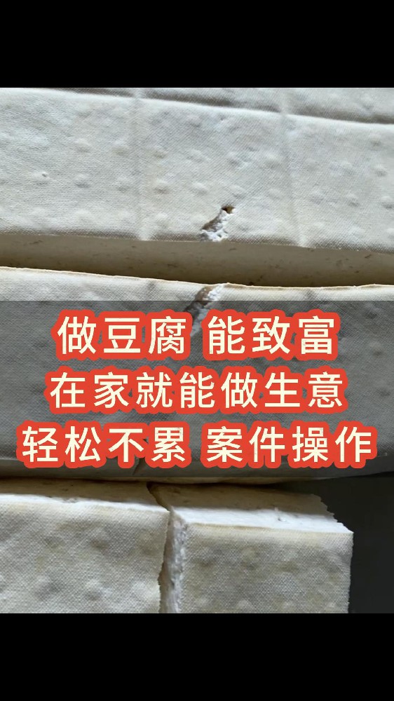 全自动豆腐机单磨一体（D D - 4 0）