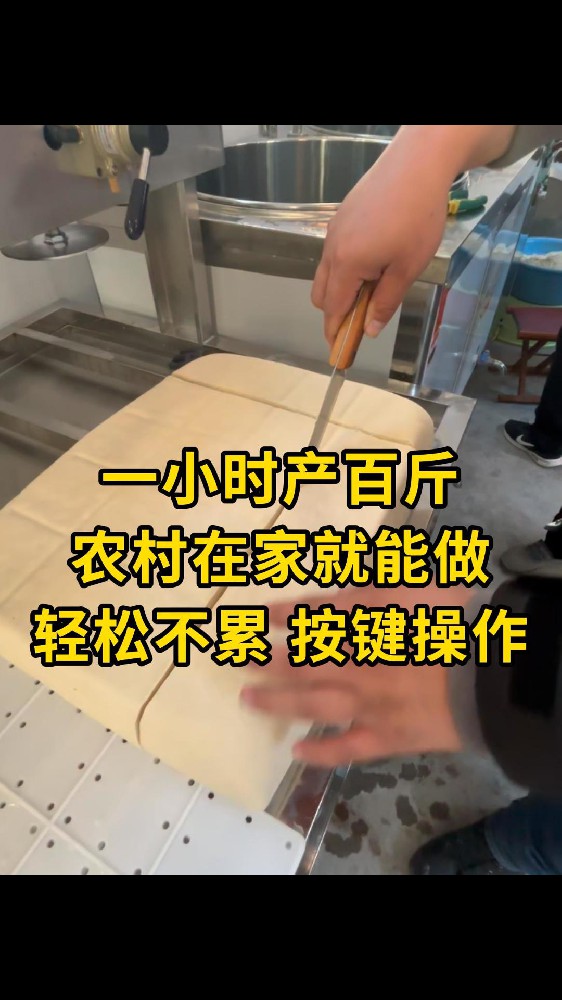 全自动豆腐机生产线视频